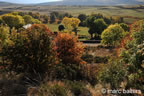 cevennes, automne, 2025,